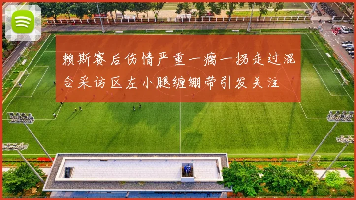 赖斯赛后伤情严重一瘸一拐走过混合采访区左小腿缠绷带引发关注