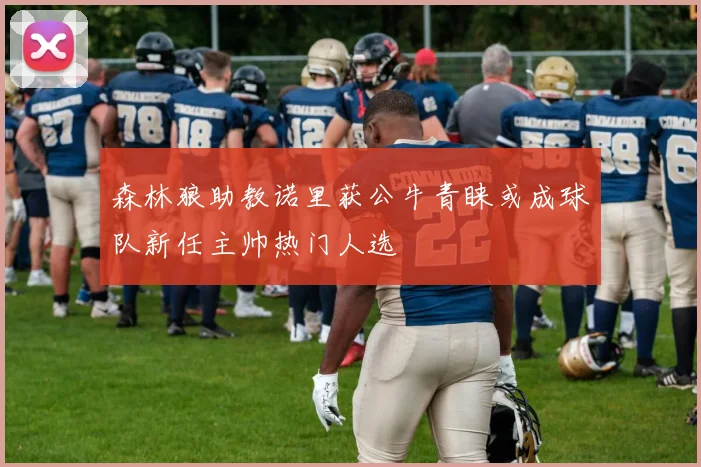 森林狼助教诺里获公牛青睐或成球队新任主帅热门人选